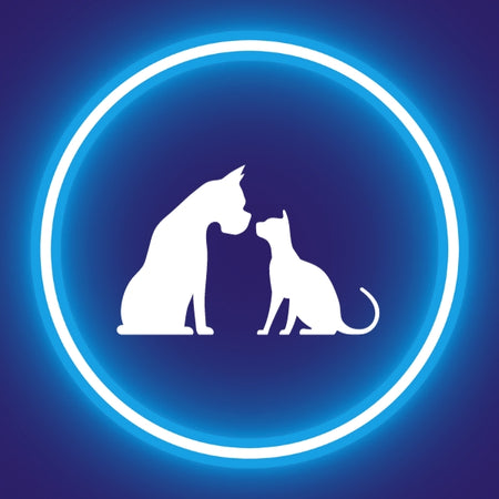 Mascotas